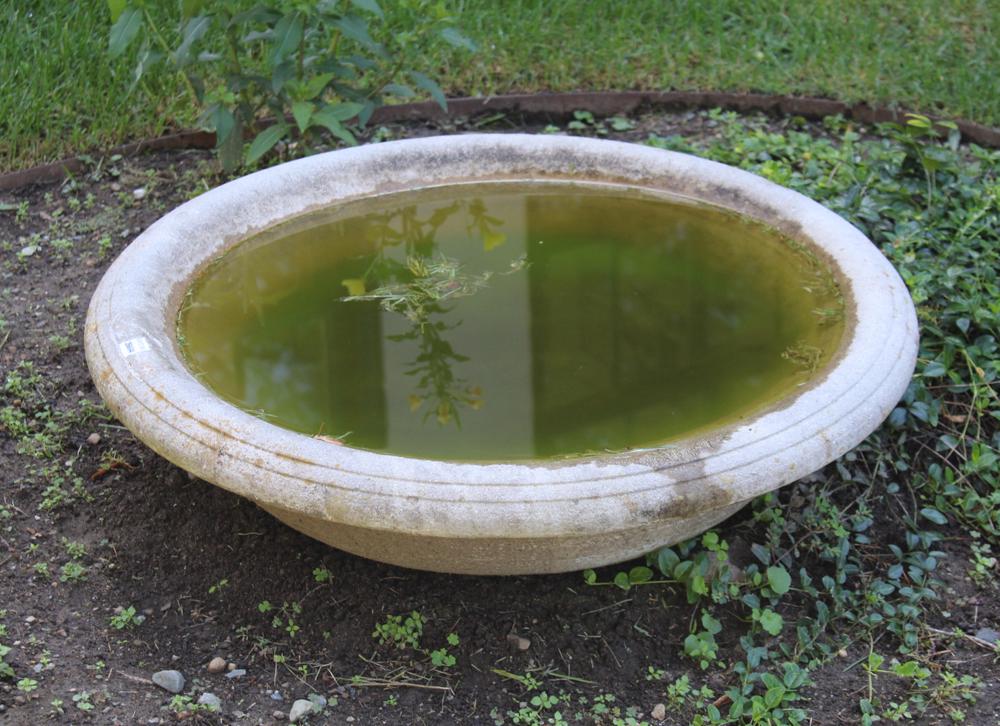 Large Cement Ground Style Bird Bath (1 of 3)