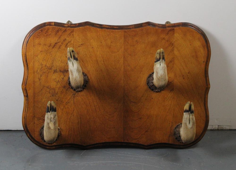 Deer Foot Hat Rack (1 of 4)