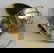 262: Ship's Brass Bulkhead Lamp