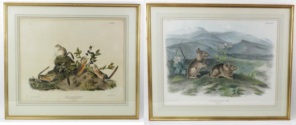 After Audubon, J.T. Bowen Prints (1 of 18)