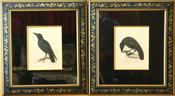 Two 18th C. English Hand-Colored Engravings: Lot of two 18th century English hand colored engravings, one of a raven and one of a crow, in custom silk matted frames, 9" x 7" (sight), 20" x 18 1/4" (frame),