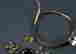 item-131883448=10