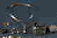 item-131883448=6