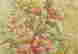 item-131886533=2