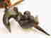 item-131887976=6