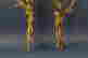item-134294739=13