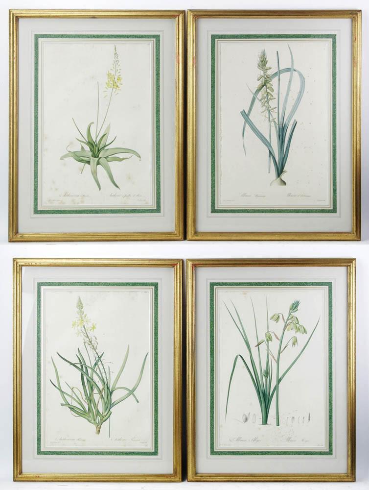 Set of 19thC French Colored Botanical Prints (1 of 19)