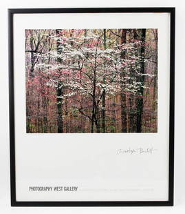 Christopher Burkett, Pink and White Dogwood: Christopher Burkett (American, b.1951), "Pink and White Dogwood", Photography West Gallery, 16" x 20" image, 30 1/4" x 25 1/8" in plexiglass/frame.