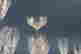 item-135969521=5