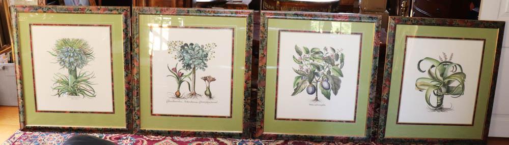 Botanical Prints, Custom Framed and Matted (1 of 5)