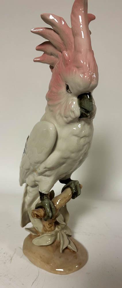 Royal Dux Porcelain Parrot: Royal Dux porcelain parrot, 16" x 6". Good condition. Provenance: "Rock Edge" Prides Crossing, Beverly, MA.