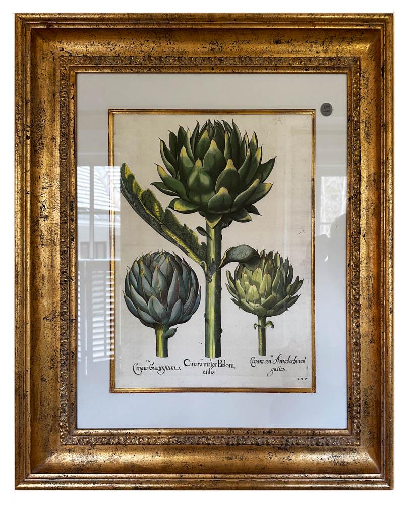 Offset Lithograph of Botanicals (1 of 2)