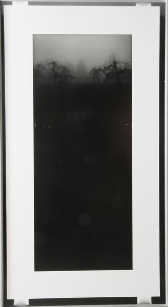 Ross, 'North Salem Totem #3', Photograph: Clifford Ross, (American, b. 1952), "North Salem Totem #3", photograph, artist's proof, signed verso, 57 1/2" x 31 1/2" (frame). (E4842)