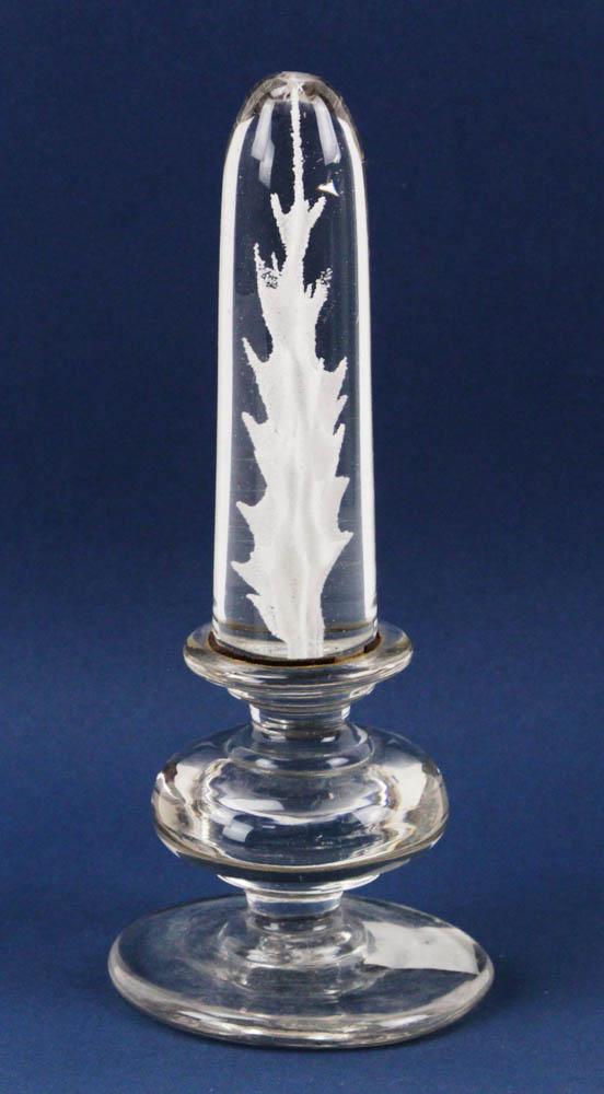 Early Specimen Encased in Glass (1 of 6)