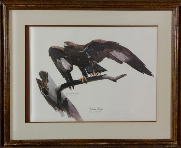 Dunnington, Eagle on a Branch, Photo : Tom Dunnington (American, 20th century), eagle sitting on a branch, photo reproduction of a watercolor, signed, seal with "Cottage Hill Wildlife Art" lower right, 174/5000, 16" x 22".