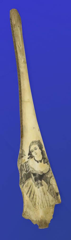 19th C Scrimshaw Whale Bone, Woman in Period Dress: 19th century scrimshaw whale bone depicting woman in period dress, 15" L x 2 3/4" W. Provenance: Private Collection of Anthony Athanas, restaurateur.