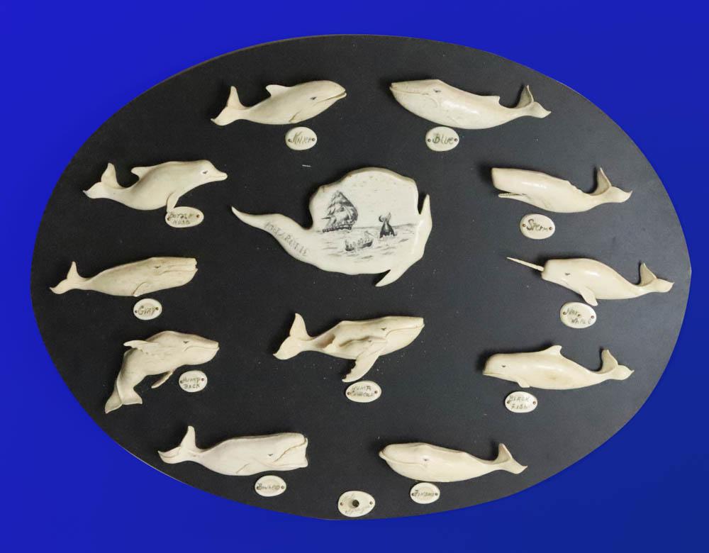 Wall Plaque With Carved and Scrimshaw Whales: Vintage wall plaque mounted with scrimshaw bone carvings of whales and porpoises, central figural depicts whale hunting scene and is inscribed, 'ANTARCTIC', signed K.D. Sprague (British, born 1927), p