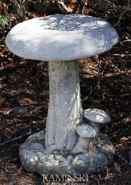 Toadstool