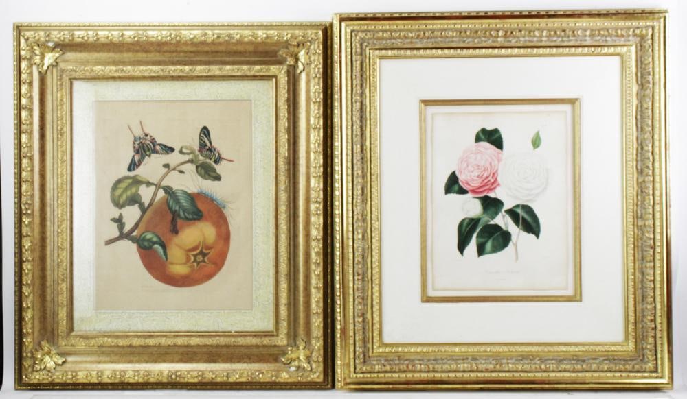 19thC Floral and Fruit Prints, Framed (1 of 9)