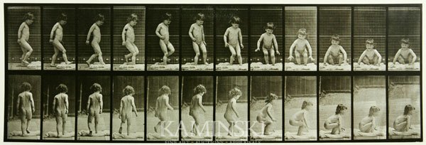 Muybridge, "Animal Locomotion", Collotype: Eadweard James Muybridge (English 1830 - 1904), "Animal Locomotion", collotype, copyright 1887, 5 1/2"h x 18"w.