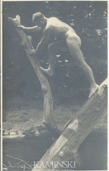 Townsend Vintage Silver Print of Battalino: Edwin Townsend (American b.1879 ), nude physique portrait of Christopher Battalino (American 1908 - 1977), vintage vintage silver print photograph, circa 1930's, posed on tree branch, 11"h x 7"w. Batt