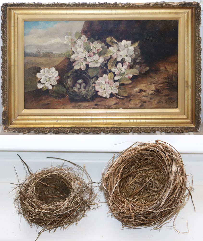 E.M. Phillips, Floral Still Life with Nest, Oil on Canvas (1 of 8)