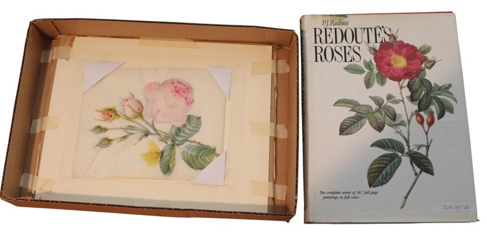 Attributed to Pierre-Joseph Redoute, Roses (1 of 11)