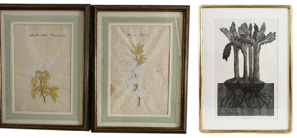 Group of Botanical Watercolors and Lithograph (1 of 3)
