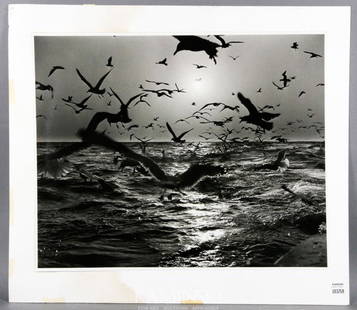 Leipzig, "Seagulls", Silver Gelatin Print: Arthur Leipzig (b.1918), "Seagulls", vintage silver gelatin print, circa 1950s, mounted to heavy board, ink stamp verso "An Arthur Leipzig Photo", 378 Glen Avenue, Sea Cliff, NY, 11579, 16"h x 19 3/4"