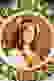 item-16099661=2