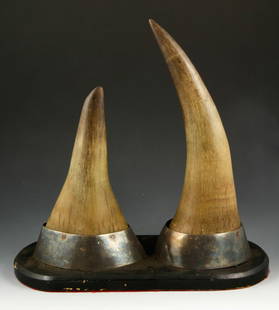 Chinese Antique Pair of Rhinoceros Horns: Rare antique pair of rhinoceros horns, China, mounted with sterling silver on black painted base, 11" x 14 1/2".