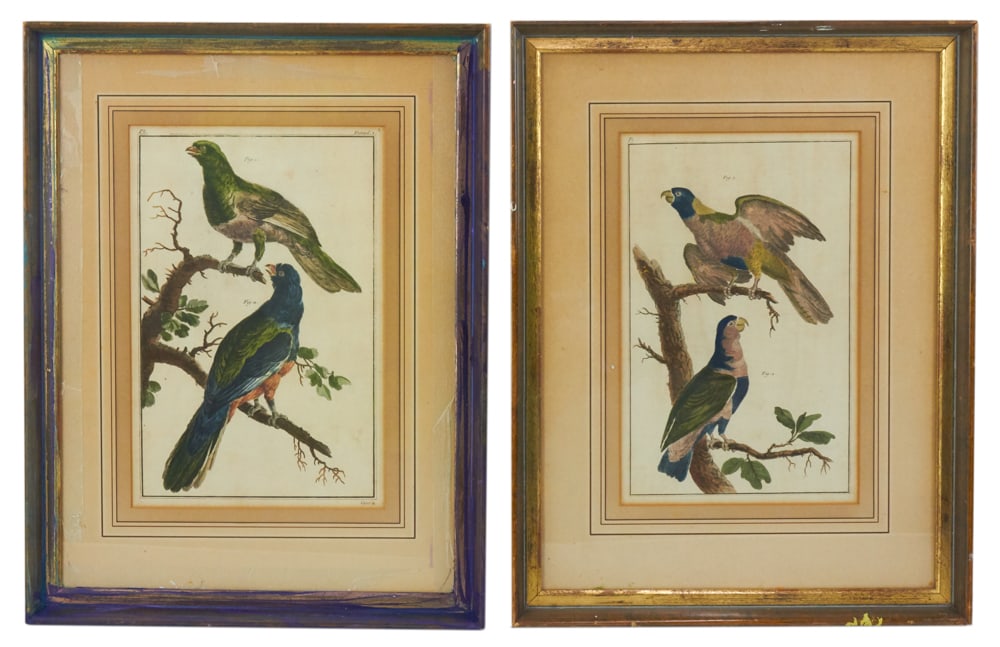 Pair of 18th/19thC Hand-Colored Birds (1 of 13)
