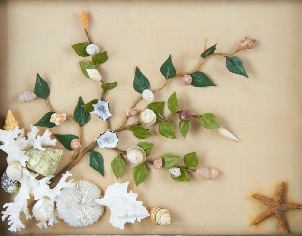 Shell Tree Diorama: Shell tree diorama, 2 1/2" x 14" x 12". Provenance: The Susie Hilfiger Collection.