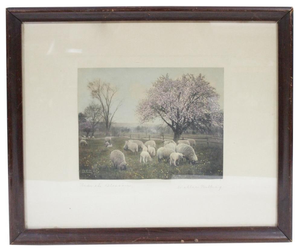 Wallace Nutting, Sheep Under Blossoms, Print (1 of 2)