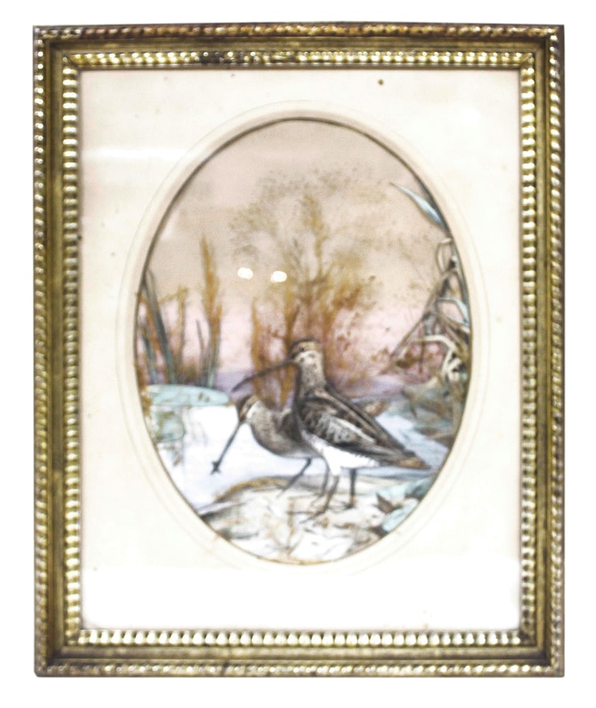 19thC, Shorebirds, Mixed Media with Natural Materials (1 of 2)