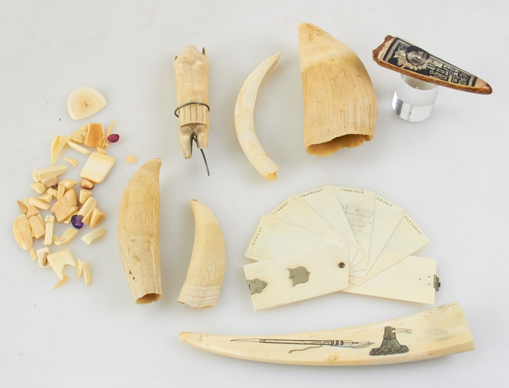 Antique Whale's Teeth, Inuit Scrimshaw, etc. (1 of 10)