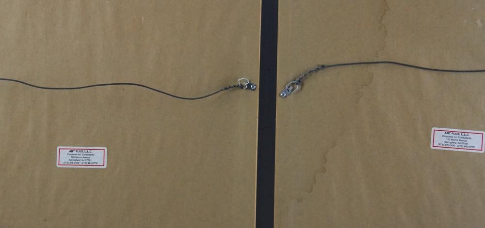 Parrot Prints in Custom Blue Frames - 14