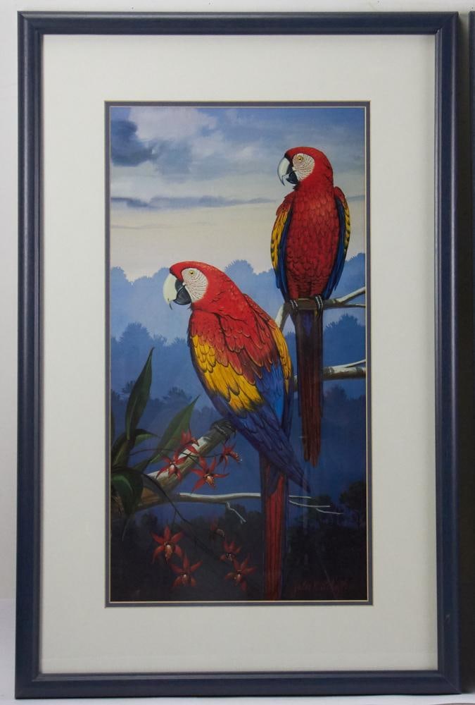 Parrot Prints in Custom Blue Frames - 3