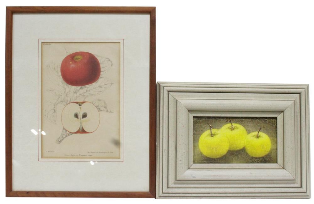 Two Apple Artworks, Botanical Print, Oil on Board (1 of 5)