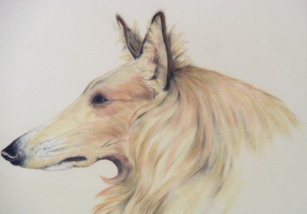 Hampton M. Ericsson, "James", Pastel - 3