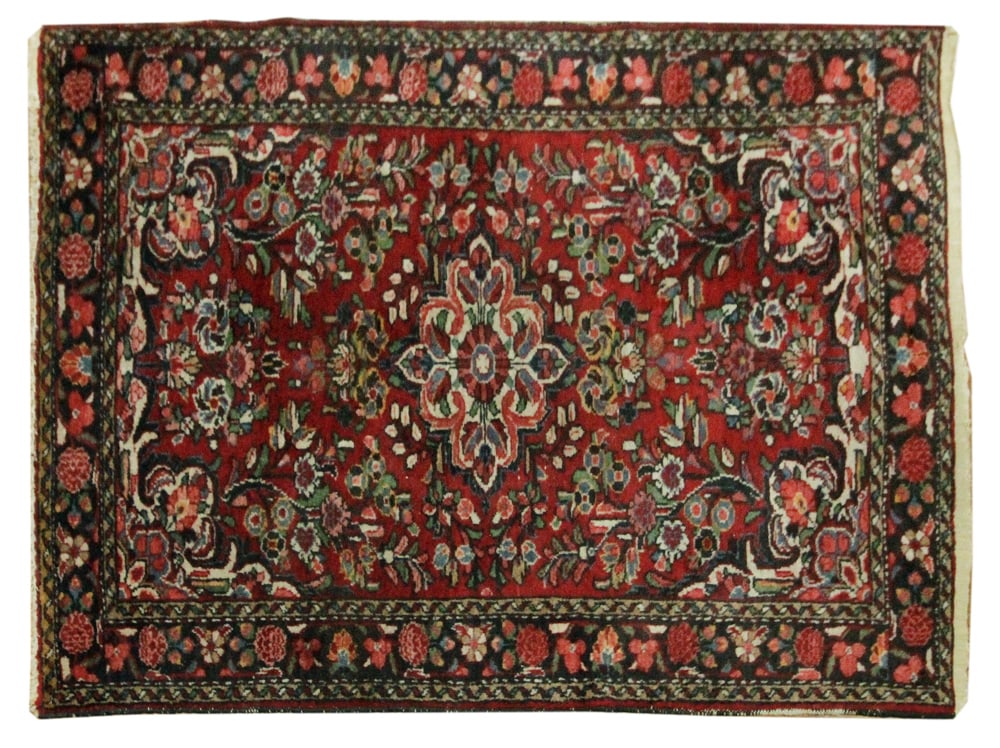 Hamadan Rug (1 of 5)