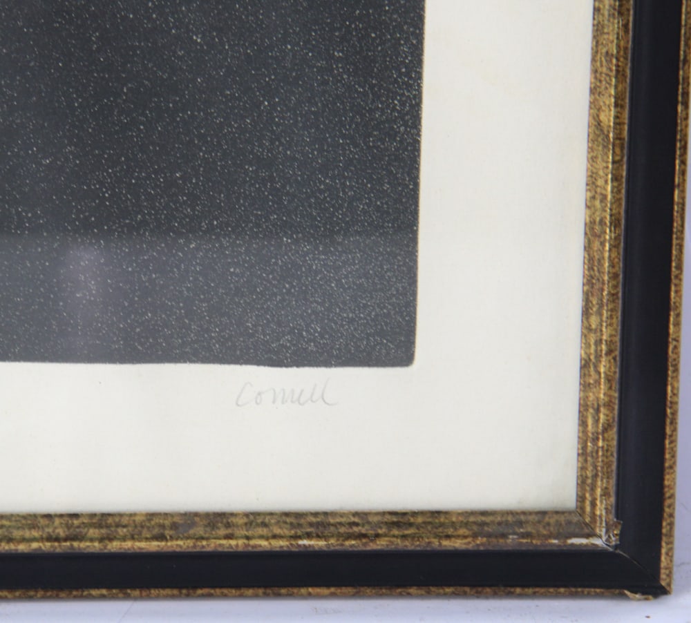 Thomas Cornwell, Frederick Douglass Etching - 4