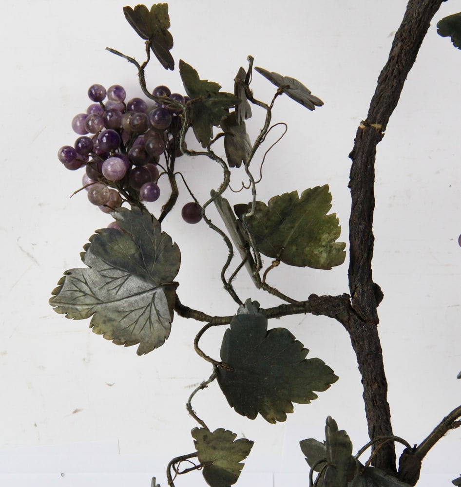 Chinese Jade Trees with Fruit - 7