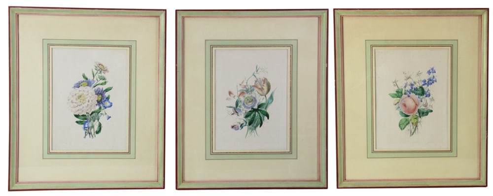 James Andrews, Hand-Colored Botanical Lithographs (1 of 17)