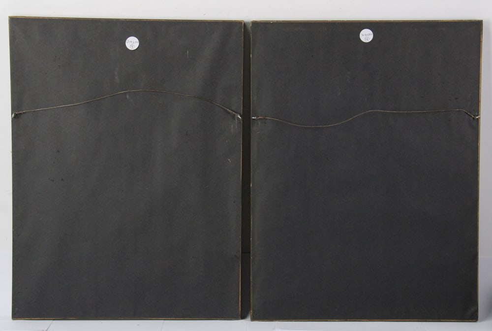 19thC Botanical Hand-Colored Lithographs - 17