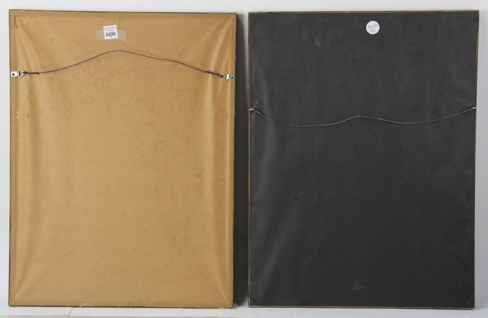 19thC Botanical Hand-Colored Lithographs - 9