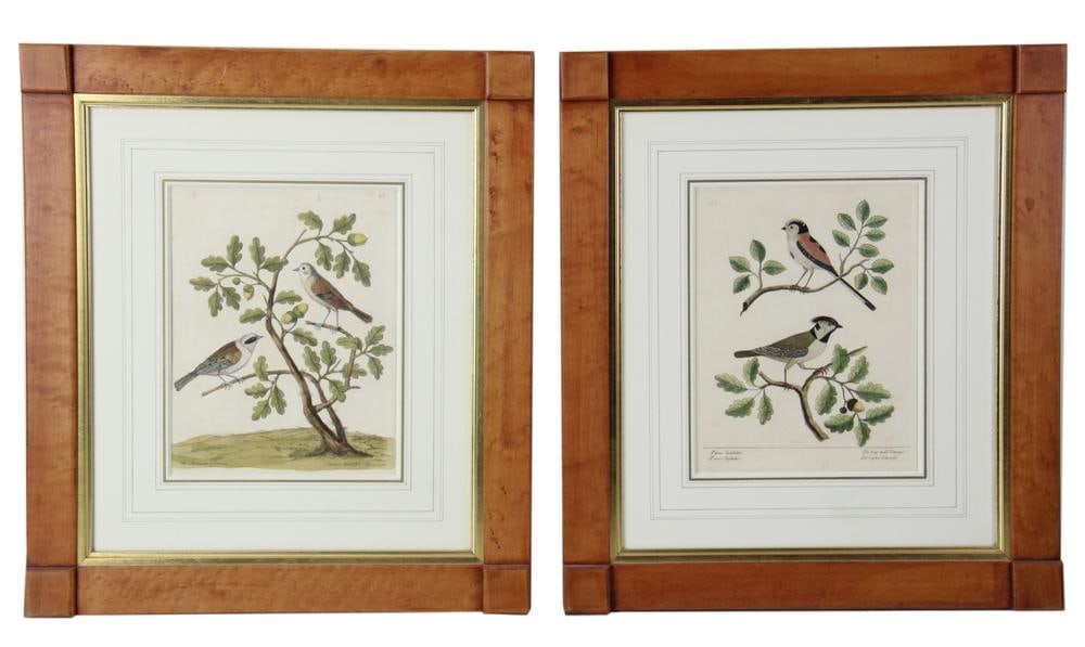 Two Eleazar Albin Prints, Natural History of Birds (1 of 9)