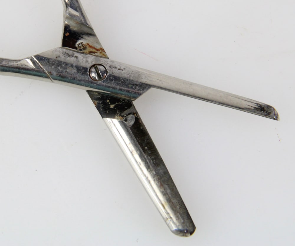 Sterling Grape Scissors - 5