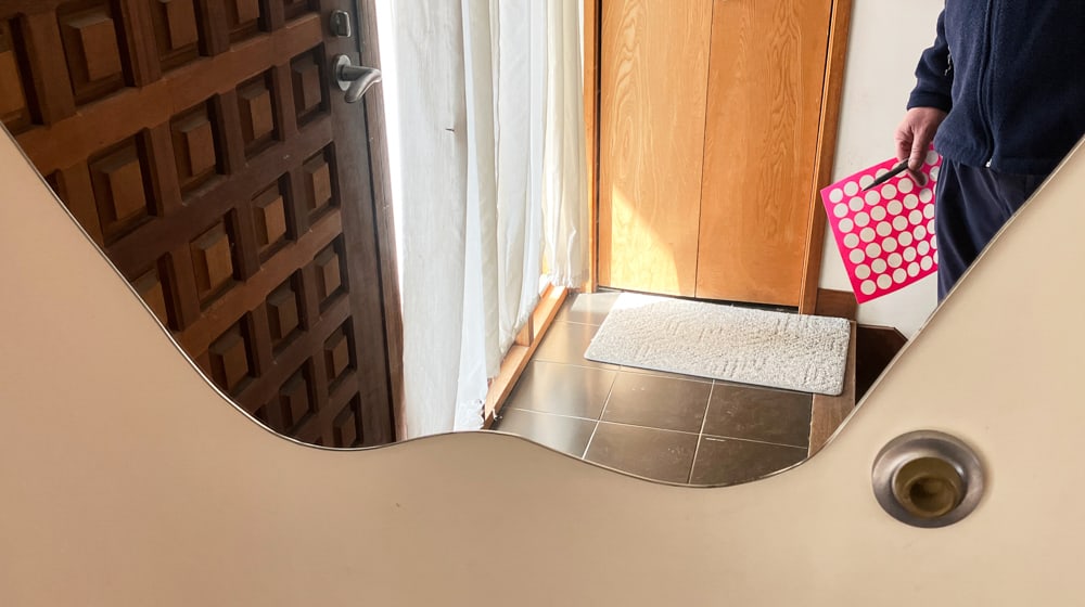 Large Apple-form Wall Mirror - 4