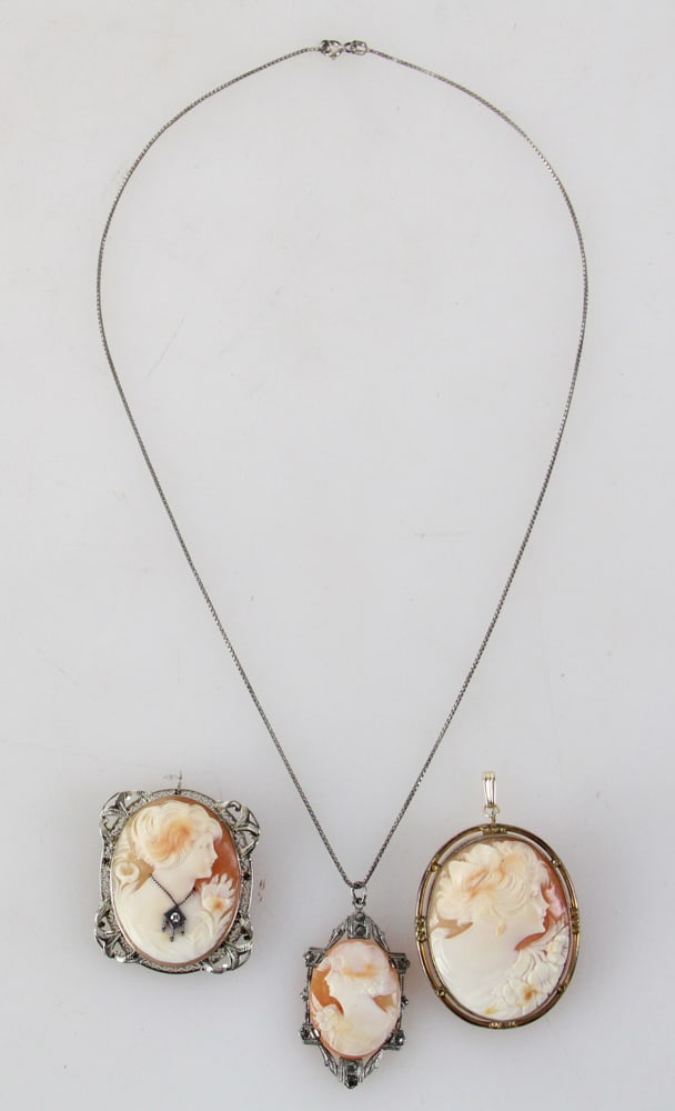 Cameo Pendant Necklace, Pendant Brooches (1 of 11)